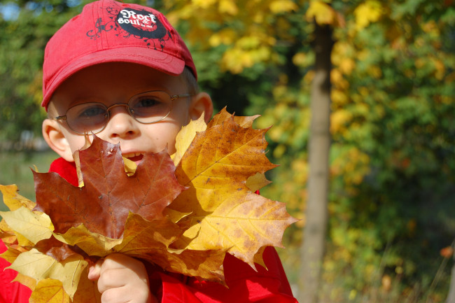 Обои картинки фото разное, люди, мальчик, кепка, очки, листья, осень