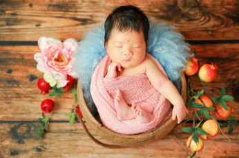 Картинка разное дети младенец гнездо фрукты