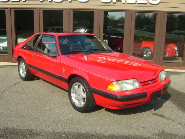 Обои картинки фото автомобили, ford