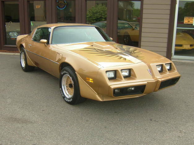 Обои картинки фото автомобили, pontiac