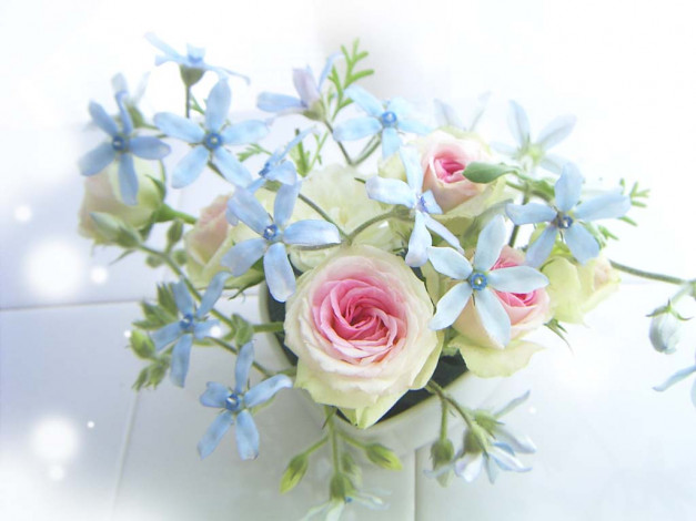 Обои картинки фото цветы, букеты, композиции