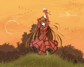 Картинка аниме aquarian age девушка платье кот луна птицы небо лес поляна деревья