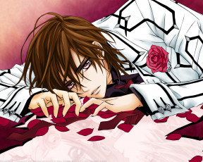 Картинка аниме vampire knight