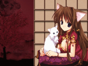 Картинка аниме aquarian age