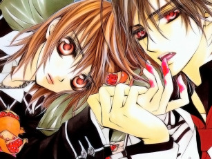 Картинка аниме vampire knight