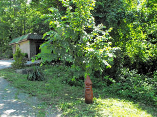 Картинка природа парк