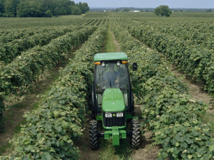 Картинка техника тракторы