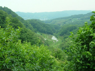 Картинка природа пейзажи