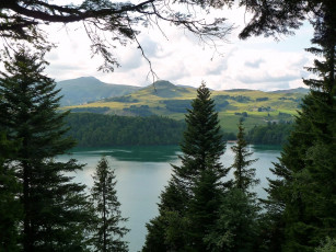 Картинка природа реки озера лес озеро ель холмы