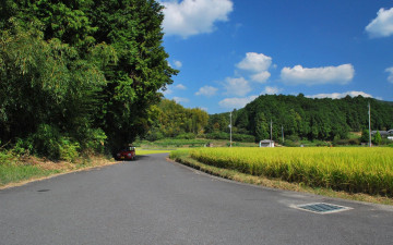 Картинка природа дороги