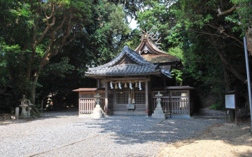 Картинка природа парк