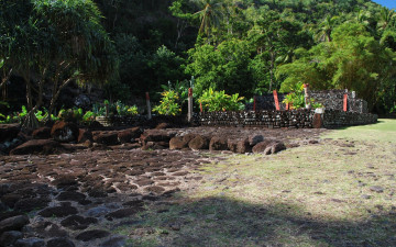 Картинка природа парк