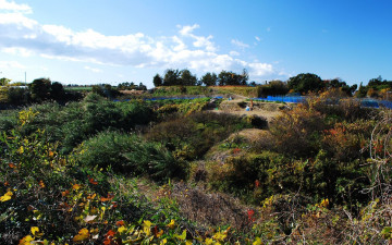 Картинка природа пейзажи