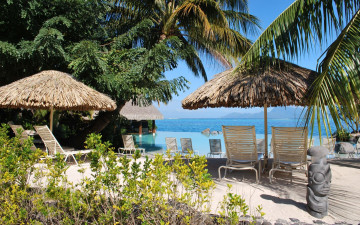 Картинка природа тропики