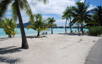 Картинка природа тропики