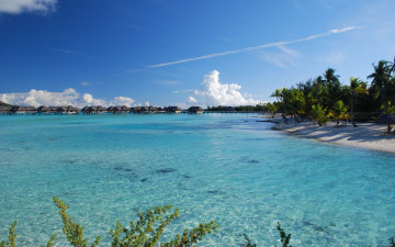 Картинка природа тропики