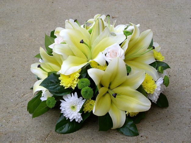 Обои картинки фото цветы, букеты, композиции, лилии, хризантемы