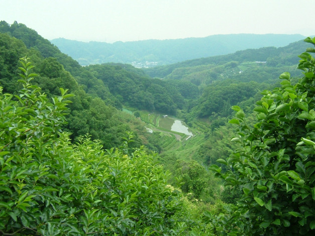 Обои картинки фото природа, пейзажи