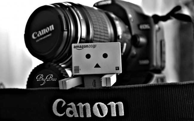 Обои картинки фото бренды, canon