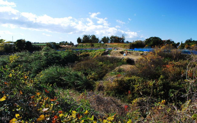 Обои картинки фото природа, пейзажи