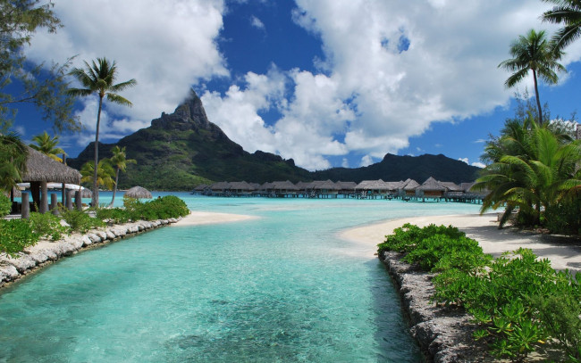 Обои картинки фото природа, тропики