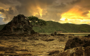 Картинка природа побережье дерево горы река