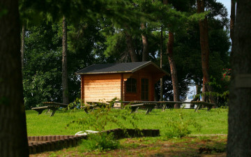 Картинка разное сооружения постройки сосны постройка скамейки