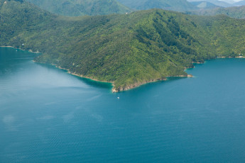 Картинка природа побережье новая зеландия южный остров пиктон