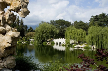 Картинка botanical garden san marino california природа парк ботанический сад пруд мостик