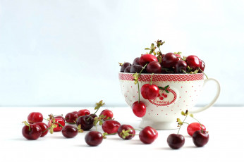 Картинка еда вишня черешня чашка