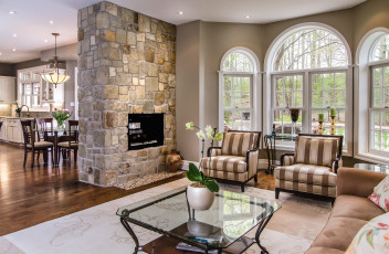 Картинка интерьер гостиная камин диваны орхидея