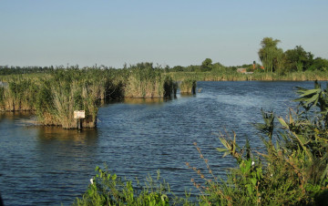 Картинка природа реки озера камыши река