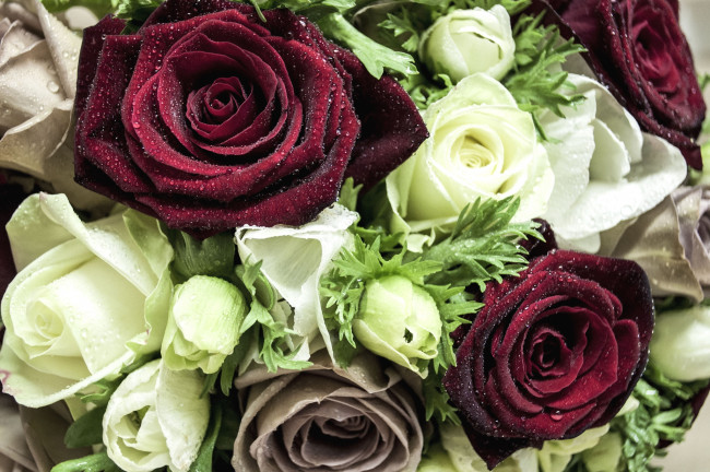 Обои картинки фото цветы, букеты, композиции, розы, анемоны, капли