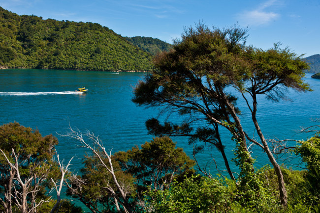 Обои картинки фото природа, моря, океаны, новая, зеландия