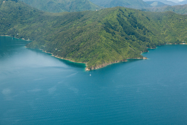 Обои картинки фото природа, побережье, новая, зеландия, южный, остров, пиктон