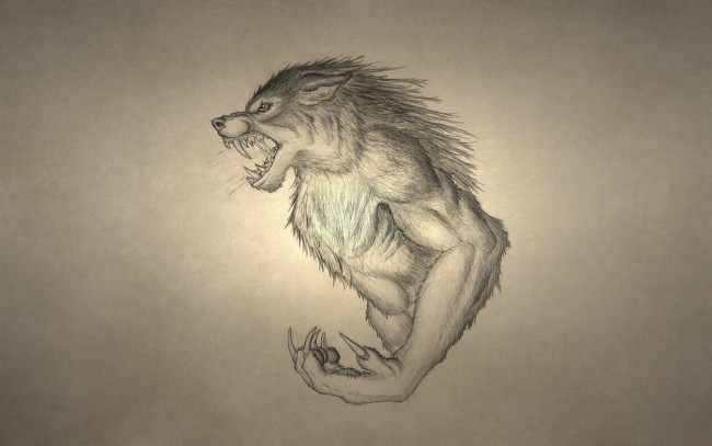 Обои картинки фото рисованные, минимализм, волк, рычит, werewolf, оборотень, wolf