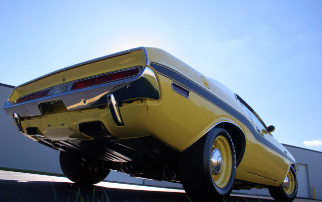 Обои картинки фото автомобили, dodge, challenger