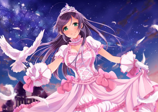 Картинка аниме love+live +school+idol+project love live school idol project девушка перья млечный путь голубь птица toujou nozomi arihara arhr арт