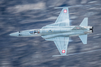 Картинка northrop+f-5+tiger авиация боевые+самолёты истребитель