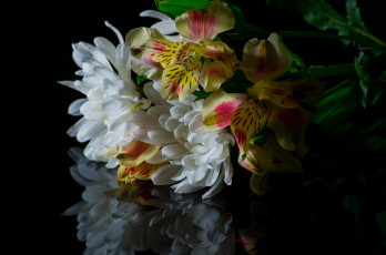 Картинка цветы букеты +композиции букет