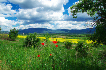 Картинка природа пейзажи простор