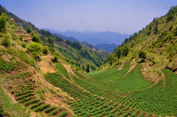 Картинка природа горы простор