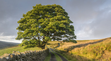 Картинка природа дороги простор