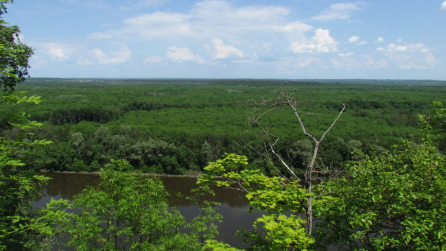 Обои картинки фото природа, пейзажи, облака, лес, небо, река