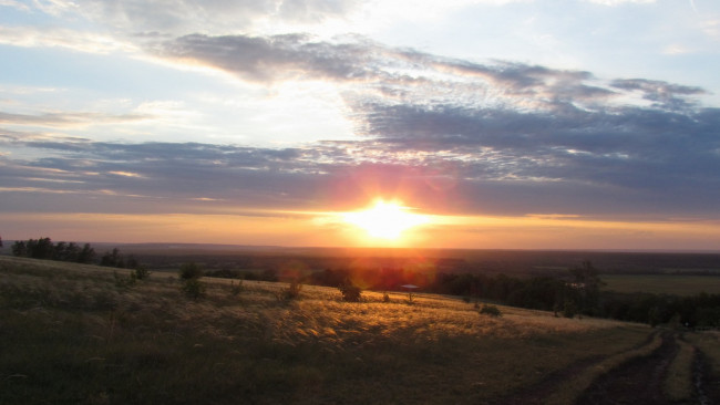 Обои картинки фото природа, восходы, закаты, закат, трава, ковыль, тропа