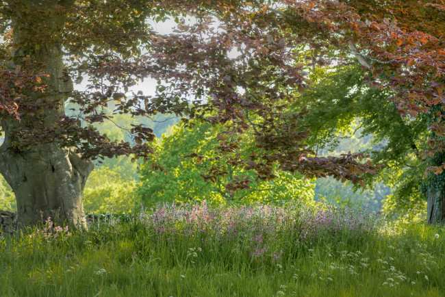 Обои картинки фото природа, пейзажи, простор