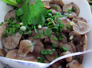 Картинка еда грибы +грибные+блюда опята маринованные