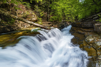 Картинка природа реки озера простор