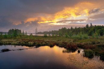 Картинка природа реки озера простор