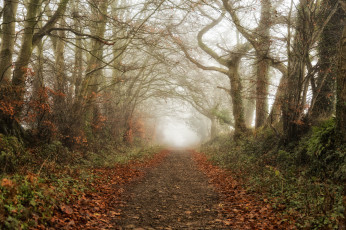 Картинка природа дороги простор